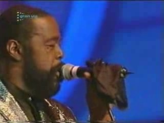 Pavarotti White (stay tuned for Pavorotti--Brown)