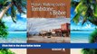 Buy Jane Eppinga Tombstone   Bisbee Historic Walking Guides  Hardcover