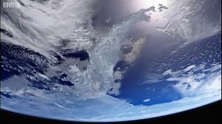 Whales hunting krill - Planet Earth