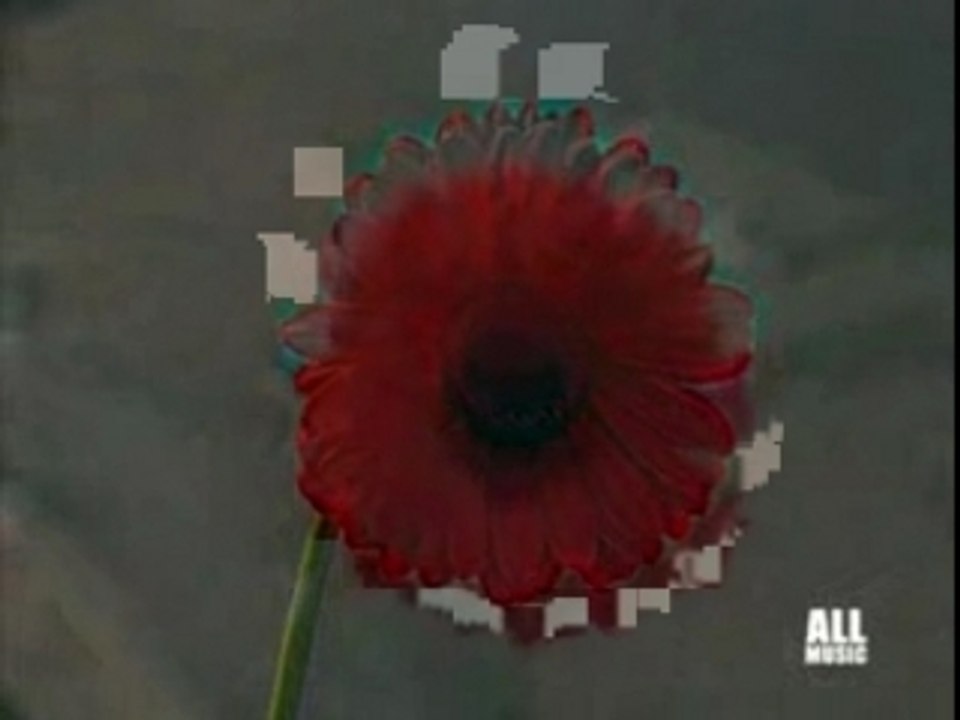 Joss Stone Feat Common - Tell Me What Were Gonna Do Now