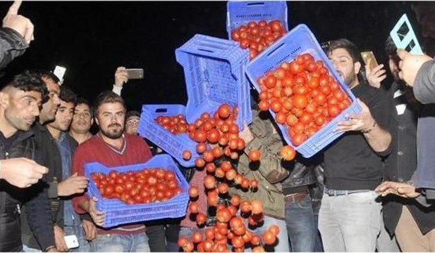 Çiftçiler isyanda: 80 kuruşa alınan domates İstanbul'da 5 liraya satılıyor