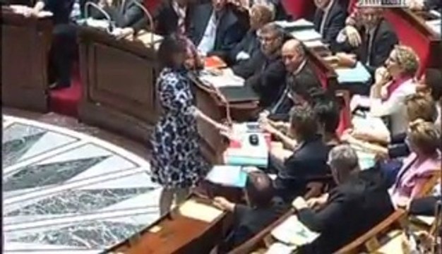 Cécile Duflot sifflée à l'Assemblée