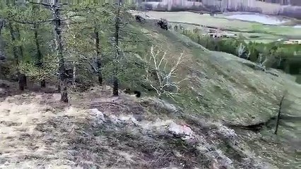 #Видео дня׃ Хорошо пошел! //  # Video of the Day: Good went!