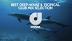 Various Artists - Best Deep House & Tropical Club Mix Selection