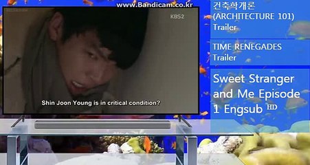 토토솔루션 24시간 솔루션문의 카톡,스카이프haricuty