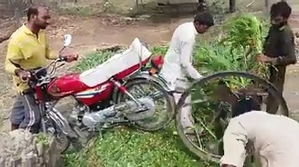 پاکستانیو کے جگار چیک کرو بس