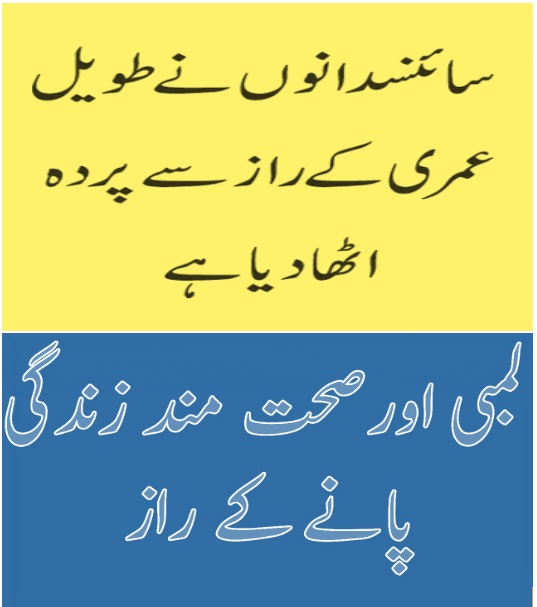 Solution Of Your Every Problem