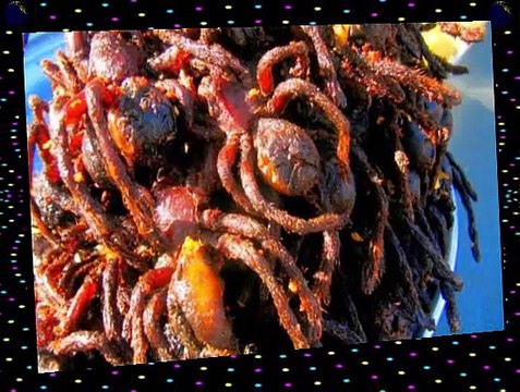 اغرب 10 ماكولات فى العالم اغرب 10 اشياء فى العالم