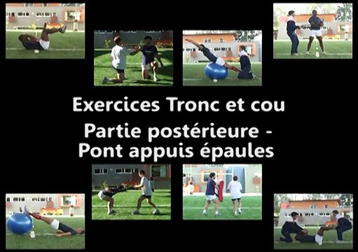 Exercices tronc et cou : partie postérieure pont appuis épaules