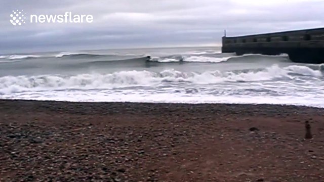 Surfers ride waves off Brighton coast during Storm Angus
