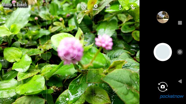 Google Pixel XL Real Camera Review_ The best smartphone camera ever made_