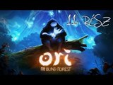 Ori And The Blind Forest - Végigjátszás - 11.Rész [Magyar]