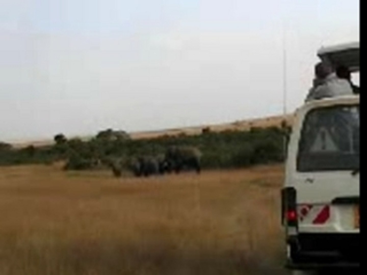 ⁣Kenya tour