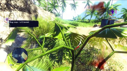 Far Cry 3 Gameplay Walkthrough Part 13 - Kick the Hornet's Nest - Mission 13 - (Burning the   Marijuana Fields)