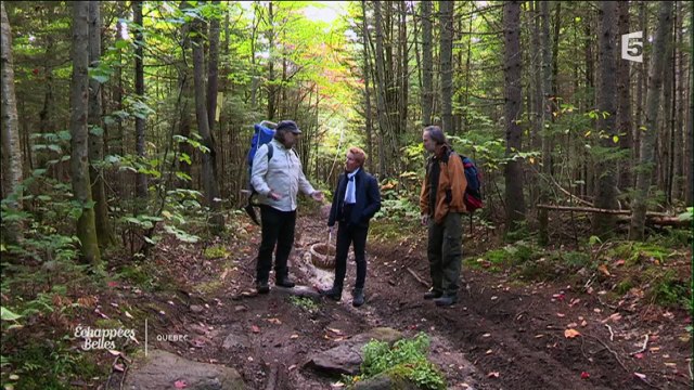 Québec, au fil du Saint Laurent - Échappées belles