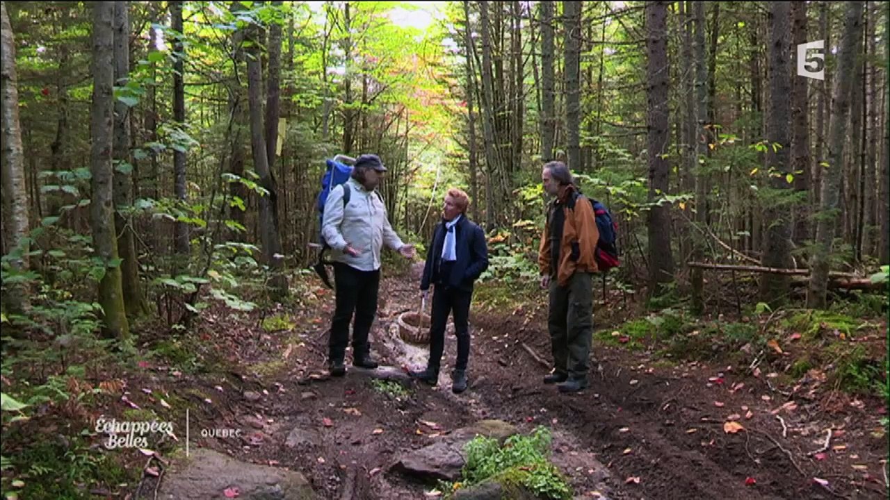 Québec, au fil du Saint Laurent - Échappées belles