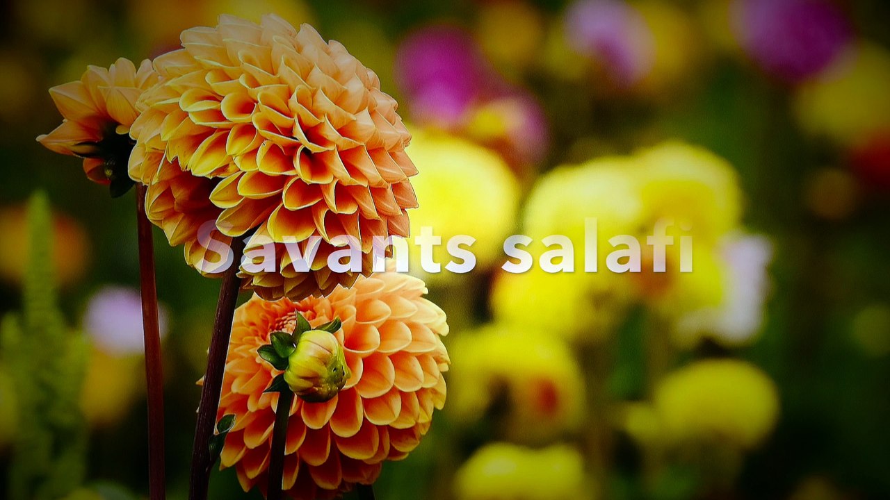 الشيخ عبد الرزاق بن عبد المحسن العباد البدر