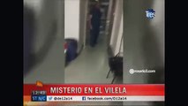 Mira como un globo persigue a las personas en un hospital