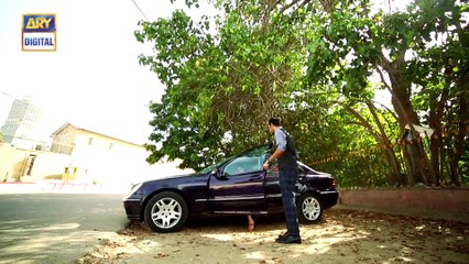 Watch Tum Milay Episode - 20 on Ary Digital in High Quality 21st November 2016