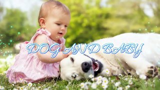 Alaskan Malamute Dog showing love to Baby - Dog loves Baby Compilation