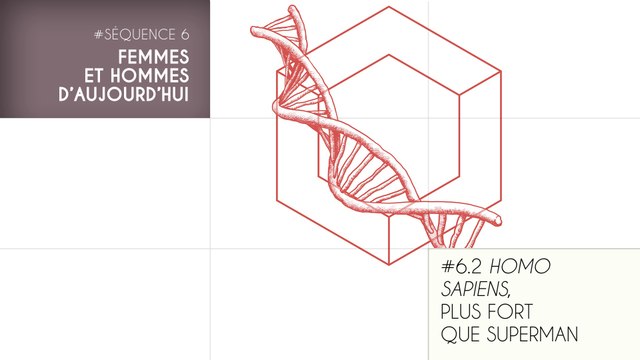 MOOC Les origines de l'Homme - Sujet 6.2 : Homo sapiens, plus fort que Superman