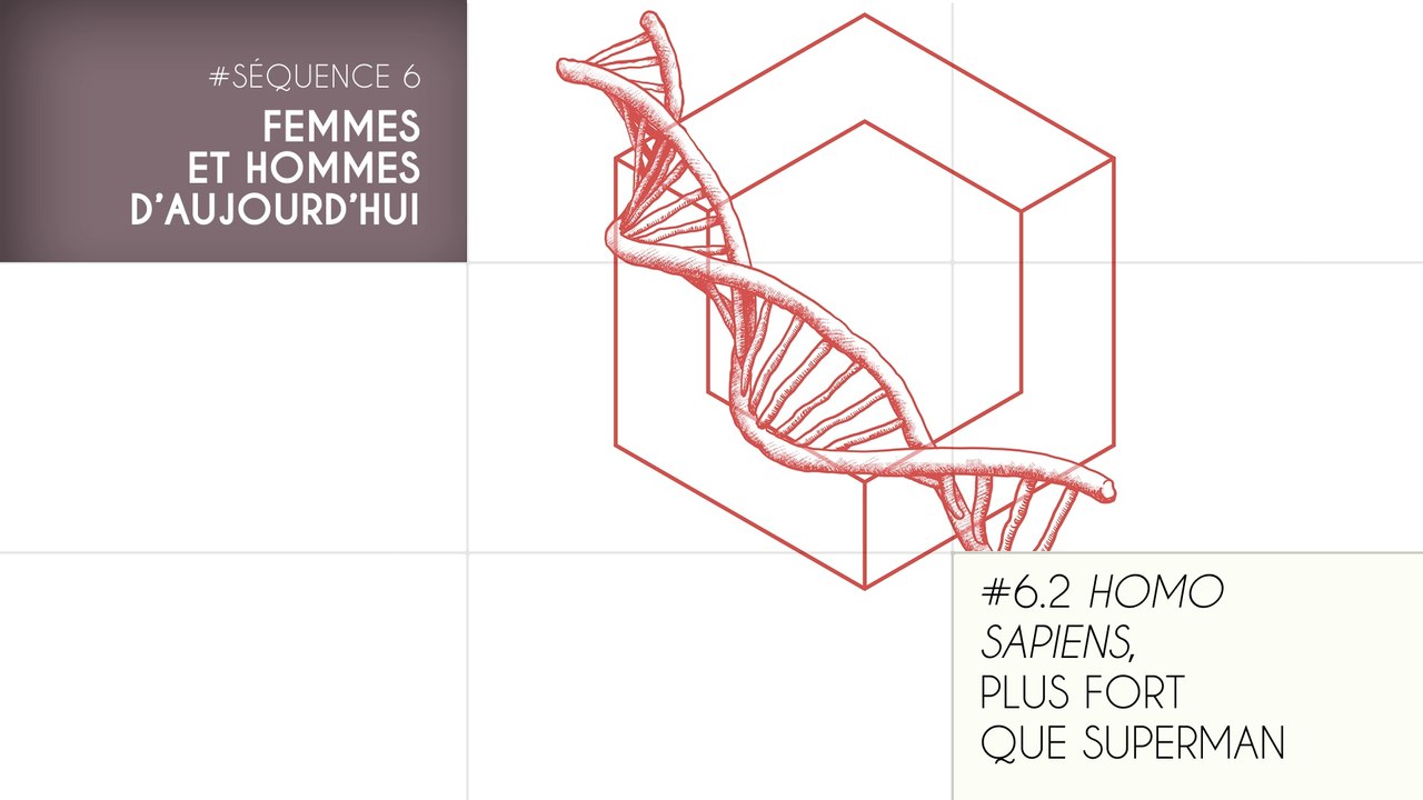 MOOC Les origines de l'Homme - Sujet 6.2 : Homo sapiens, plus fort que Superman