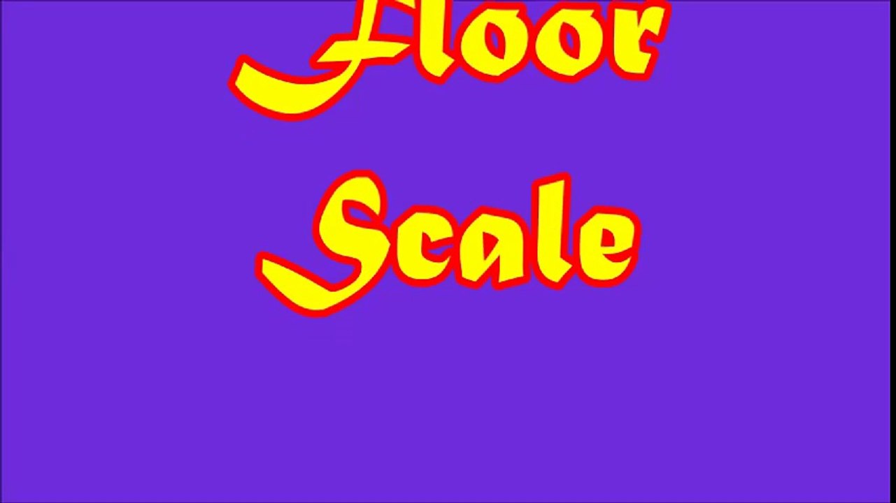 floor scale