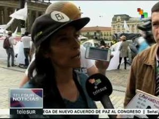 Colombia: en una semana entregarán informe sobre muerte de insurgentes