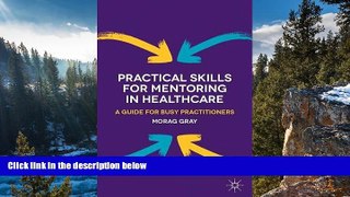 Big Sales  Practical Skills for Mentoring in Healthcare: A Guide for Busy Practitioners  Premium