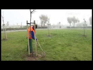 Icaro Tv. La Giornata Nazionale dell'Albero e Green Booking