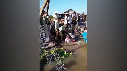 Con trai Nguyễn Tấn Dũng bắt đầu thể hiện quyền lực