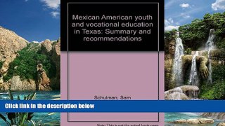 Big Sales  Mexican American youth and vocational education in Texas: Summary and recommendations