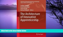 Big Sales  The Architecture of Innovative Apprenticeship (Technical and Vocational Education and