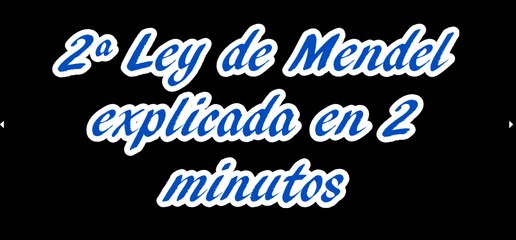 2ª Ley de Mendel: EXPLICACIÓN