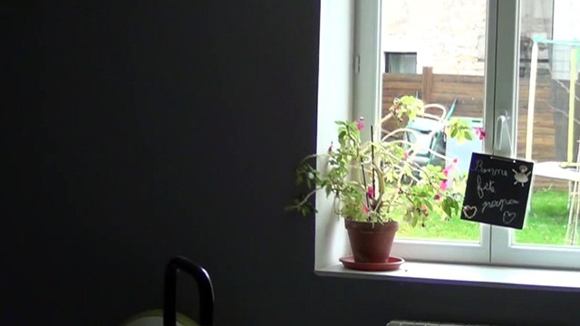 genlis secteur Maison 200m2 - Agence CARREZ Immobilier