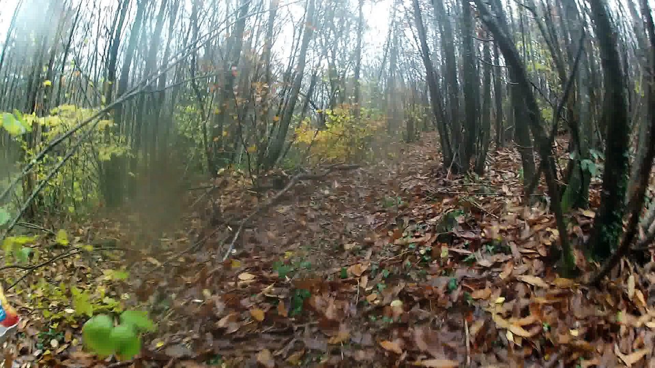 sortie 20.11.16