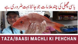 Taza Aur Baasi Machli Ki Pehchan - How To Check and Buy Fresh Fish In Urdu