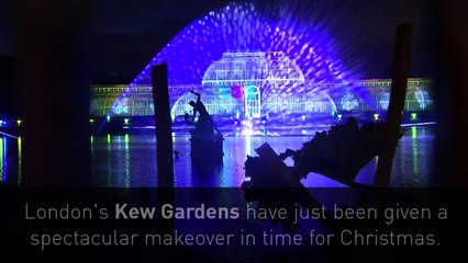 London's Kew Gardens get a festive makeover
