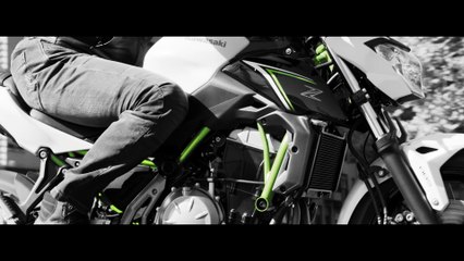 2017 Kawasaki Z650