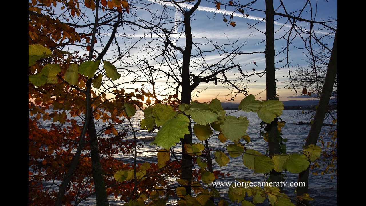 L'automne en Suisse et ses magnifiques couleurs . entre Lausanne et Montreux