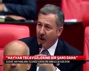 AKP'li vekil Selçuk Özdağ'ın İnanılmaz Sözleri  ''Hayvanlara tecavüz edenlere bir şans daha tanınmalı''