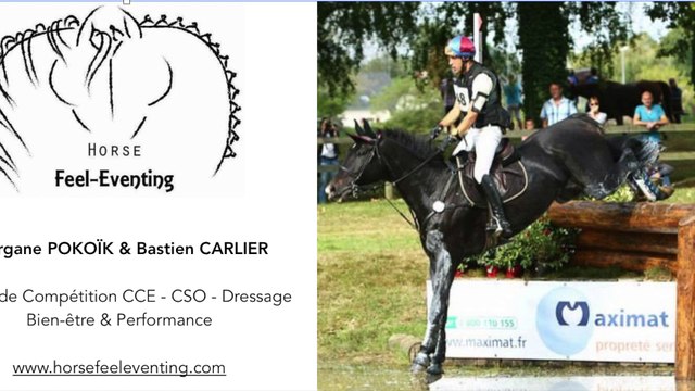 Horse Feel-Eventing Salon du Cheval 2016