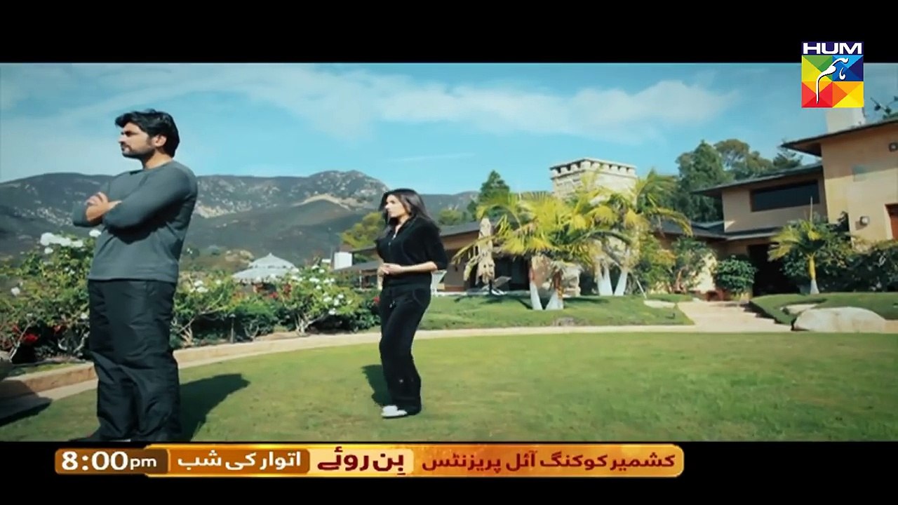 Bin Roye - OST Full - HUM TV Drama