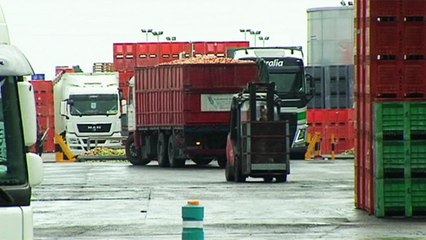 Spain's exports boost helps trade deficit drop