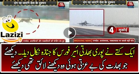 A Dog Crushed and Revealed the Real Face of Indian Air Force