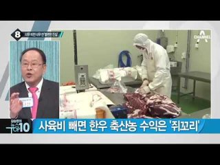 한우 가격 초강세…‘금값’ 소고기, 왜? _채널A_뉴스TOP10