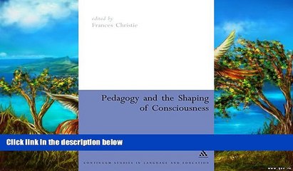 Big Sales  Pedagogy and the Shaping of Consciousness: Linguistic and Social Processes (Continuum