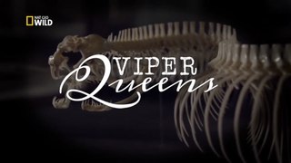Королевы гадюк / Viper Queens / 2016 / HD