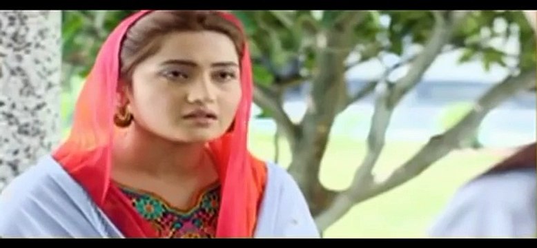 Sange Mar Mar Episode 13 Promo HD HUM TV Drama 17 November 2016 YouTube
