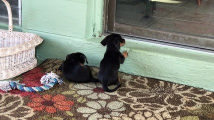 I'm cuter! No I'm cuter!!